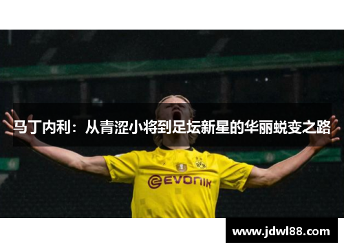 马丁内利：从青涩小将到足坛新星的华丽蜕变之路